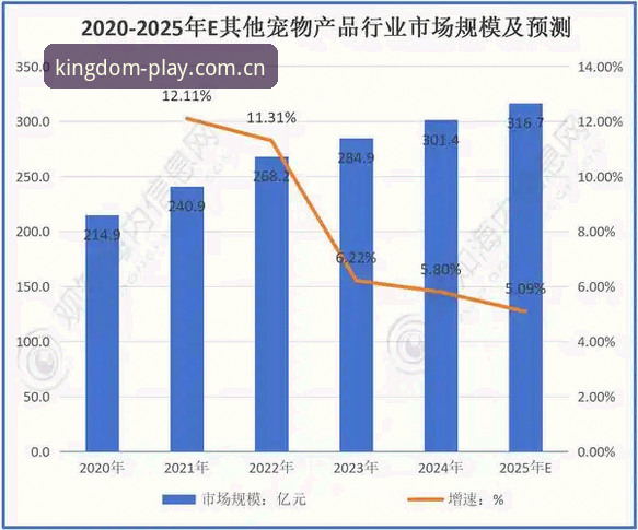 皇家国际官网最新版VS旧版本：2025全面升级对比分析